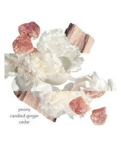 HERMÈS Twilly Eau Ginger Eau De Parfum -HERMÈS And Derek Lam 10 Crosby Sales unnamed file 103