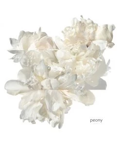 HERMÈS Twilly Eau Ginger Eau De Parfum -HERMÈS And Derek Lam 10 Crosby Sales unnamed file 104