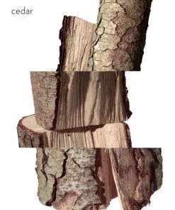 HERMÈS Twilly Eau Ginger Eau De Parfum -HERMÈS And Derek Lam 10 Crosby Sales unnamed file 106