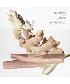 Twillly D'Hermès Eau De Parfum 2-Piece Set -HERMÈS And Derek Lam 10 Crosby Sales unnamed file 127