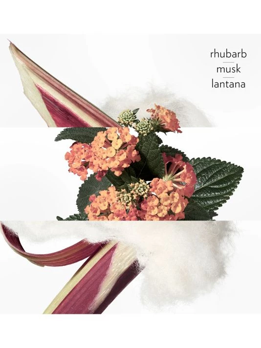 HERMÈS Eau De Rhubarbe Écarlate Eau De Cologne Spray 4 HERMÈS Eau De Rhubarbe Écarlate Eau De Cologne Spray - Image 2