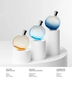 HERMÈS Eau Des Merveilles Bleue -HERMÈS And Derek Lam 10 Crosby Sales unnamed file 167