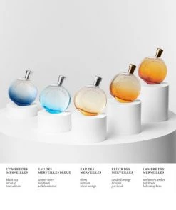 HERMÈS Eau Des Merveilles Bleue -HERMÈS And Derek Lam 10 Crosby Sales unnamed file 168