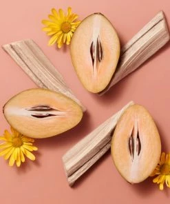 Hermèsistible Infused Lip Care Oil 02 Corail Bigarade 18 Hermèsistible Infused Lip Care Oil 02 Corail Bigarade -HERMÈS And Derek Lam 10 Crosby Sales unnamed file 185