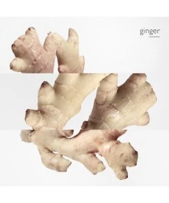 Twilly D'Hermès Eau De Parfum -HERMÈS And Derek Lam 10 Crosby Sales unnamed file 223