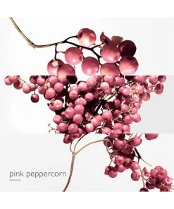 Twilly D'Hermès Eau Poivrée Eau De Parfum -HERMÈS And Derek Lam 10 Crosby Sales unnamed file 230