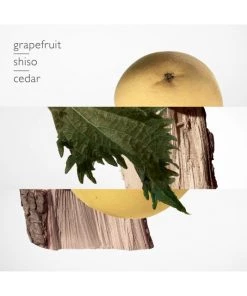 Terre D’Hermès Perfume For Men -HERMÈS And Derek Lam 10 Crosby Sales unnamed file 242