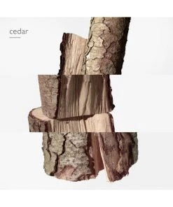 Terre D’Hermès Perfume For Men -HERMÈS And Derek Lam 10 Crosby Sales unnamed file 244