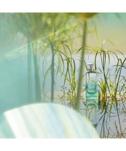 HERMÈS Un Jardin Sur Le Nil Eau De Toilette Spray -HERMÈS And Derek Lam 10 Crosby Sales unnamed file 285