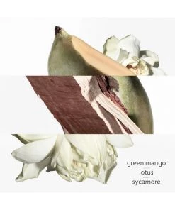 HERMÈS Un Jardin Sur Le Nil Eau De Toilette Spray -HERMÈS And Derek Lam 10 Crosby Sales unnamed file 286