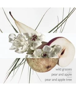 HERMÈS Un Jardin Sur Le Toit Eau De Toilette Spray For Men -HERMÈS And Derek Lam 10 Crosby Sales unnamed file 294