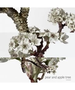 HERMÈS Un Jardin Sur Le Toit Eau De Toilette Spray For Men -HERMÈS And Derek Lam 10 Crosby Sales unnamed file 295