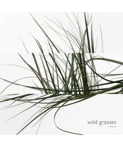 HERMÈS Un Jardin Sur Le Toit Eau De Toilette Spray For Men -HERMÈS And Derek Lam 10 Crosby Sales unnamed file 297