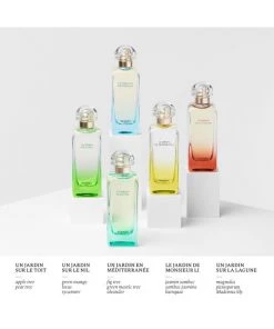 HERMÈS Un Jardin Sur Le Toit Eau De Toilette Spray For Men -HERMÈS And Derek Lam 10 Crosby Sales unnamed file 298