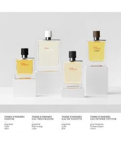 Terre D'Hermès Eau Intense Vetiver -HERMÈS And Derek Lam 10 Crosby Sales unnamed file 306