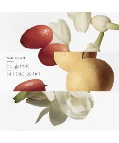 HERMÈS Le Jardin De Monsieur Li Eau De Toilette Spray 13 HERMÈS Le Jardin De Monsieur Li Eau De Toilette Spray -HERMÈS And Derek Lam 10 Crosby Sales unnamed file 321