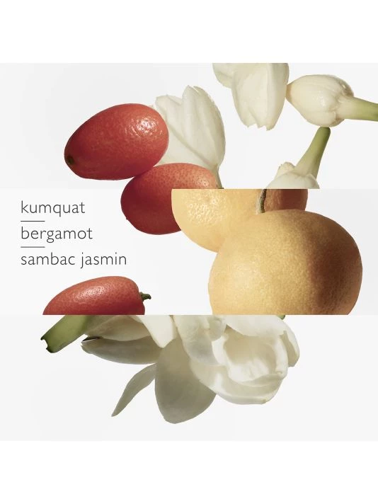 HERMÈS Le Jardin De Monsieur Li Eau De Toilette Spray 6 HERMÈS Le Jardin De Monsieur Li Eau De Toilette Spray - Image 4