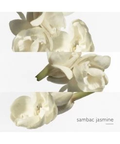 HERMÈS Le Jardin De Monsieur Li Eau De Toilette Spray 14 HERMÈS Le Jardin De Monsieur Li Eau De Toilette Spray -HERMÈS And Derek Lam 10 Crosby Sales unnamed file 322