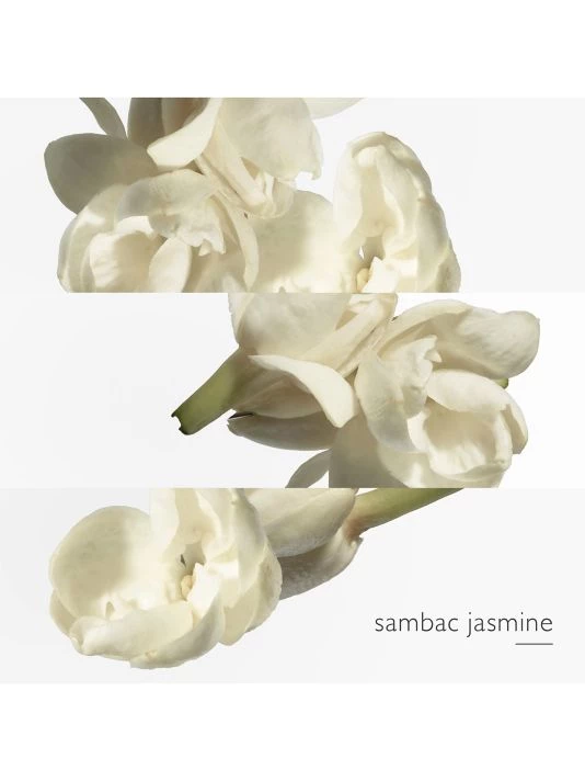 HERMÈS Le Jardin De Monsieur Li Eau De Toilette Spray 7 HERMÈS Le Jardin De Monsieur Li Eau De Toilette Spray - Image 5