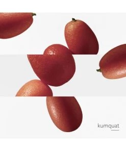 HERMÈS Le Jardin De Monsieur Li Eau De Toilette Spray 15 HERMÈS Le Jardin De Monsieur Li Eau De Toilette Spray -HERMÈS And Derek Lam 10 Crosby Sales unnamed file 323