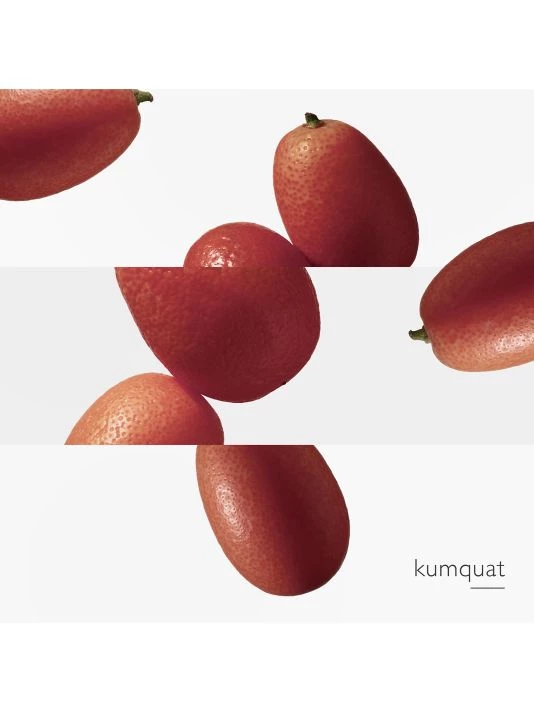 HERMÈS Le Jardin De Monsieur Li Eau De Toilette Spray 8 HERMÈS Le Jardin De Monsieur Li Eau De Toilette Spray - Image 6