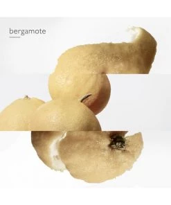 HERMÈS Le Jardin De Monsieur Li Eau De Toilette Spray 16 HERMÈS Le Jardin De Monsieur Li Eau De Toilette Spray -HERMÈS And Derek Lam 10 Crosby Sales unnamed file 324