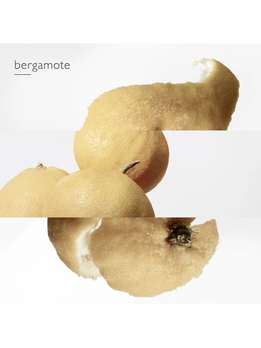 HERMÈS Le Jardin De Monsieur Li Eau De Toilette Spray 9 HERMÈS Le Jardin De Monsieur Li Eau De Toilette Spray - Image 7