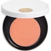 Rose Hermès Silky Blush Powder 32 Rose Pommette