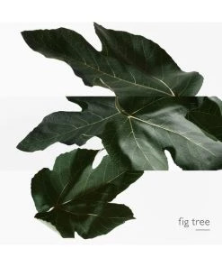 HERMÈS Un Jardin En Méditerranée - Eau De Toilette Spray -HERMÈS And Derek Lam 10 Crosby Sales unnamed file 343