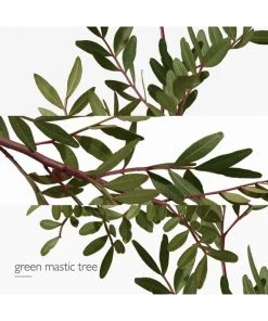 HERMÈS Un Jardin En Méditerranée - Eau De Toilette Spray -HERMÈS And Derek Lam 10 Crosby Sales unnamed file 344