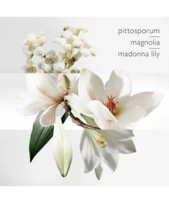 HERMÈS The Garden-Perfume Un Jardin Sur La Lagune Eau De Toilette -HERMÈS And Derek Lam 10 Crosby Sales unnamed file 355