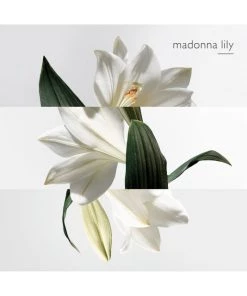 HERMÈS The Garden-Perfume Un Jardin Sur La Lagune Eau De Toilette -HERMÈS And Derek Lam 10 Crosby Sales unnamed file 358