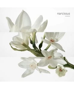 HERMÈS Eau De Narcisse Bleu Eau De Cologne Spray For Men -HERMÈS And Derek Lam 10 Crosby Sales unnamed file 364