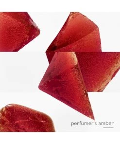 HERMÈS Eau De Mandarine Ambrée Eau De Cologne Spray For Men -HERMÈS And Derek Lam 10 Crosby Sales unnamed file 372