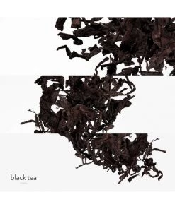 HERMÈS Eau De Citron Noir Eau De Cologne For Men -HERMÈS And Derek Lam 10 Crosby Sales unnamed file 388