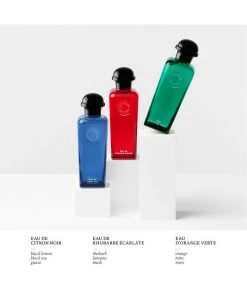 HERMÈS Eau De Citron Noir Eau De Cologne For Men -HERMÈS And Derek Lam 10 Crosby Sales unnamed file 390