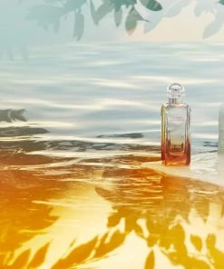 HERMÈS Un Jardin Sur La Lagune -HERMÈS And Derek Lam 10 Crosby Sales unnamed file 419