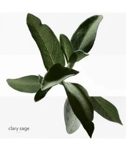 HERMÈS H24 Eau De Toilette 17 HERMÈS H24 Eau De Toilette -HERMÈS And Derek Lam 10 Crosby Sales unnamed file 6