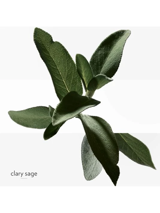 HERMÈS H24 Eau De Toilette 8 HERMÈS H24 Eau De Toilette - Image 7