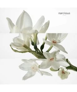 HERMÈS H24 Eau De Toilette 18 HERMÈS H24 Eau De Toilette -HERMÈS And Derek Lam 10 Crosby Sales unnamed file 7