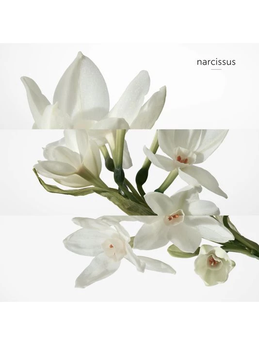 HERMÈS H24 Eau De Toilette 9 HERMÈS H24 Eau De Toilette - Image 8